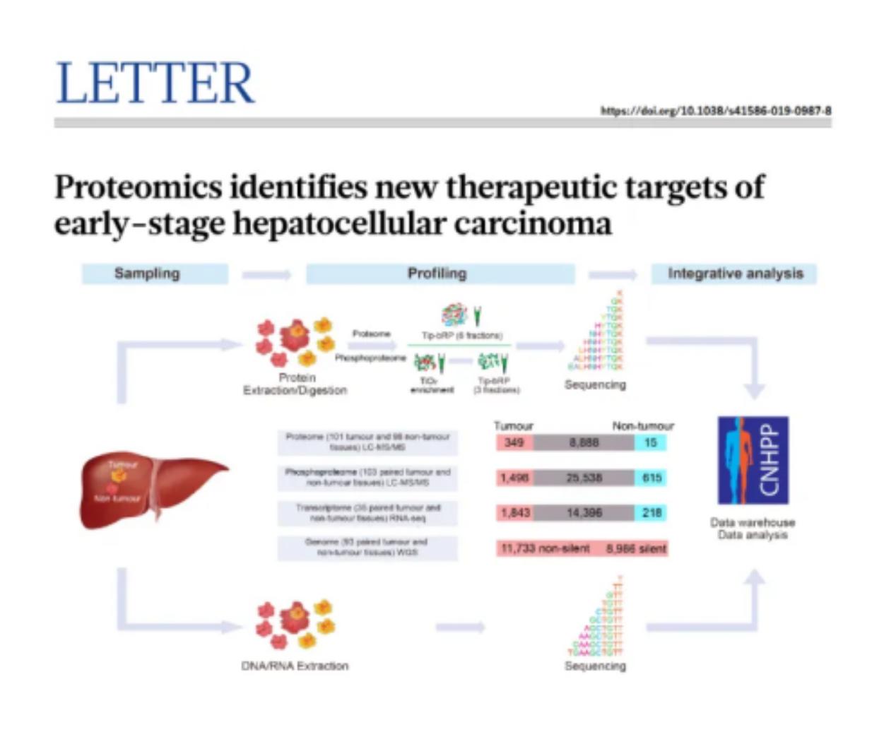 Application case of phosphorylated proteins in liver cancer research