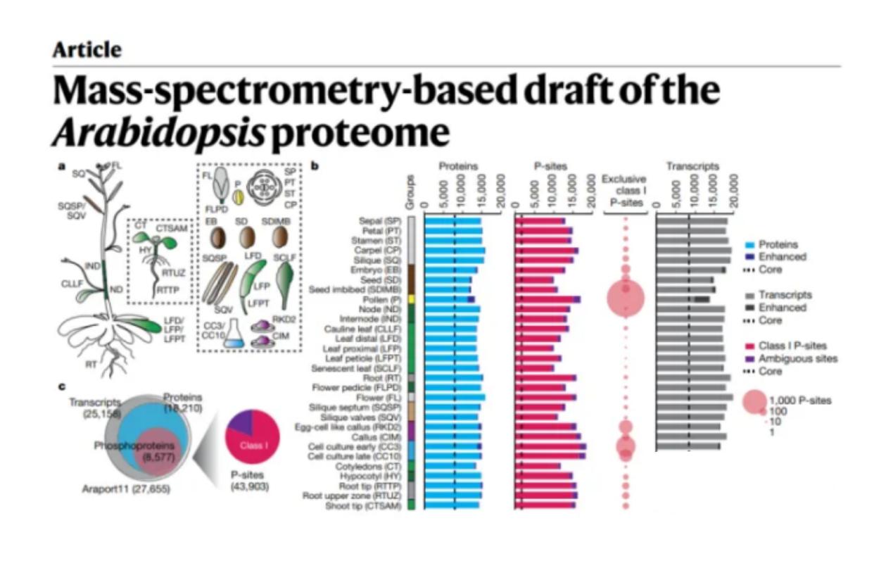 Figure 4 Examples of applications of phosphorylated proteins in plant research