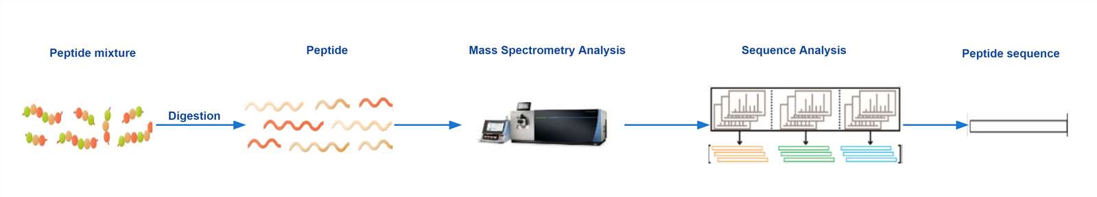 Workflow of Peptide Sequencing Service