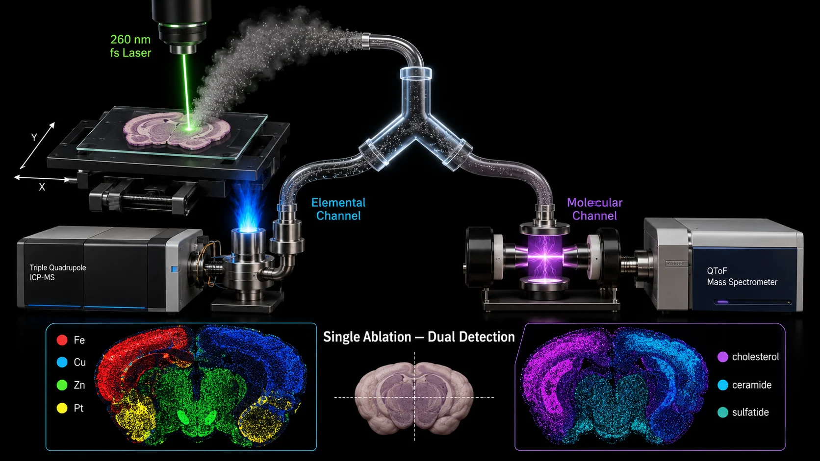 Hybrid Elemental + Molecular Imaging — Split-Flow LA-ICP-MS + DBDI-MS