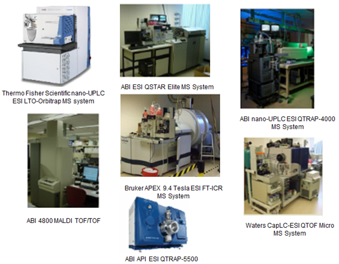 Accurate Mass Measurement Mass Spectrometry