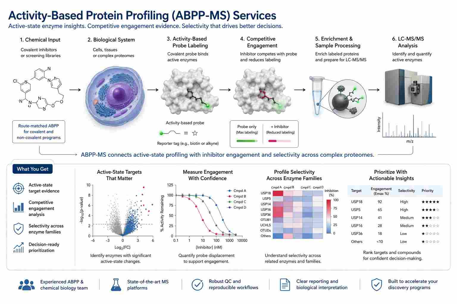 Activity-Based Protein Profiling ABPP-MS service overview for drug discovery