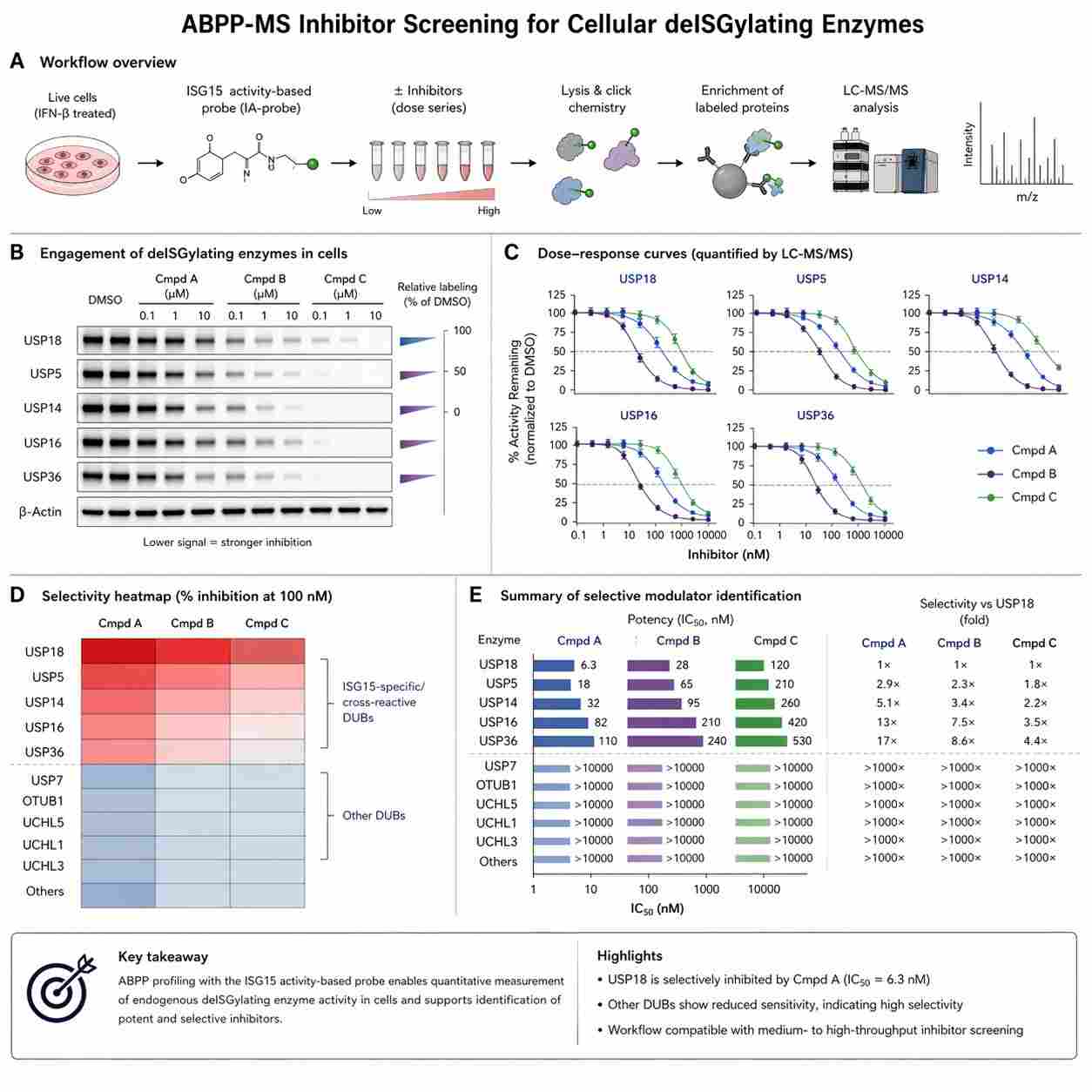 ABPP inhibitor screening and active-state enzyme analysis representative case image