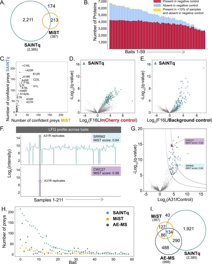 Characterization and investigation of PPIs