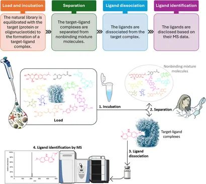 ASMS workflow diagram incubation separation mass spectrometry natural product screening.