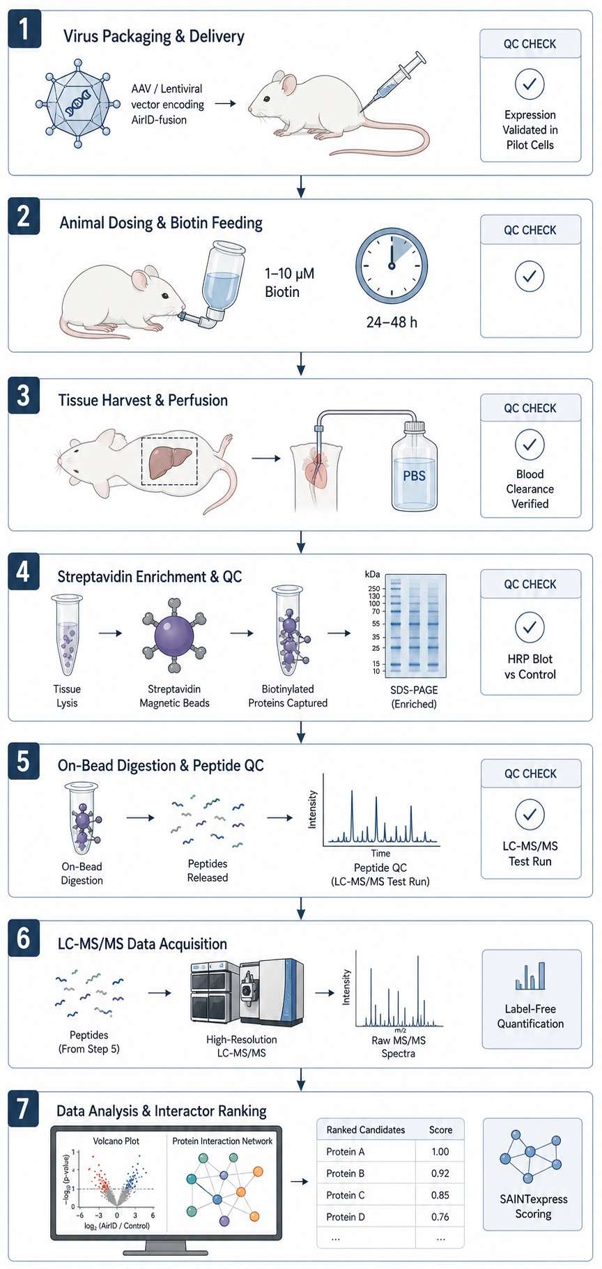 AirID proximity labeling workflow diagram