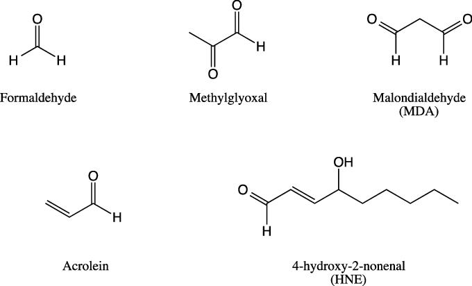 Aldehydes: Structures, Formation, Biological Effects and Analytical Methods