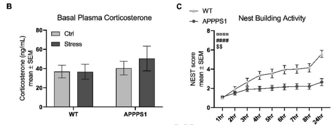 Alzheimer's Disease: Exploring the Hippocampal Proteome with DIA Technology Under Chronic Stress