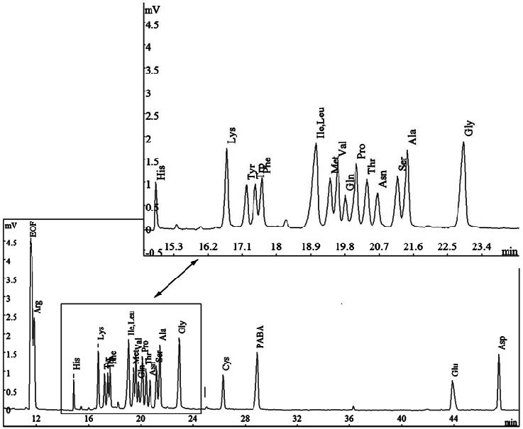 Amino Acid Analysis Through Capillary Electrophoresis Technology