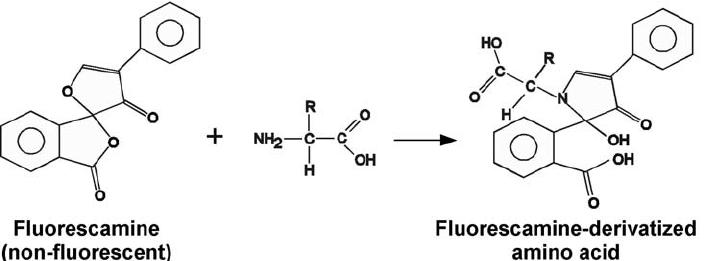 Amino Acid Pre-column Derivatization HPLC Analysis Methods