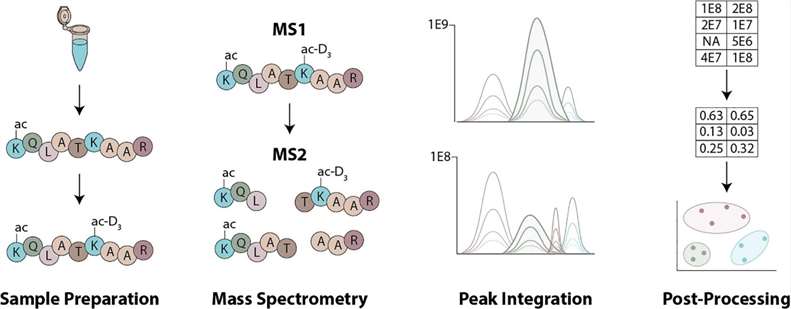 Analytical Techniques for Histone PTMs