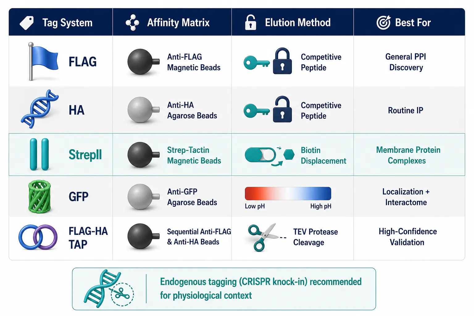 Figure 2: Affinity Tag Selection Decision Matrix for AP-MS Experiments
