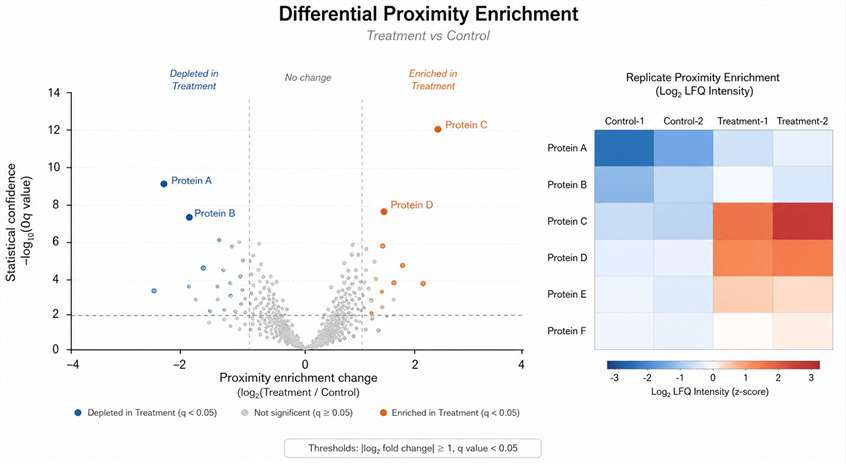 Representative APEX proteomics demo result showing differential proximity enrichment.