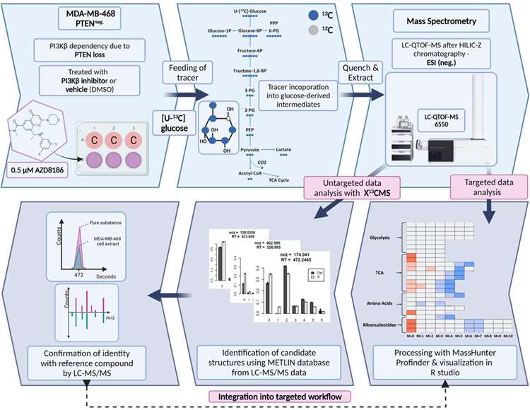 Application of Metabolic Flow Analysis Techniques in Biomedical Research