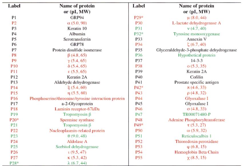 Değişmeyen (siyah metin), tümörlerde yukarı regüle edilen (kırmızı metin) veya tümörlerde aşağı regüle edilen (yeşil metin) proteinler