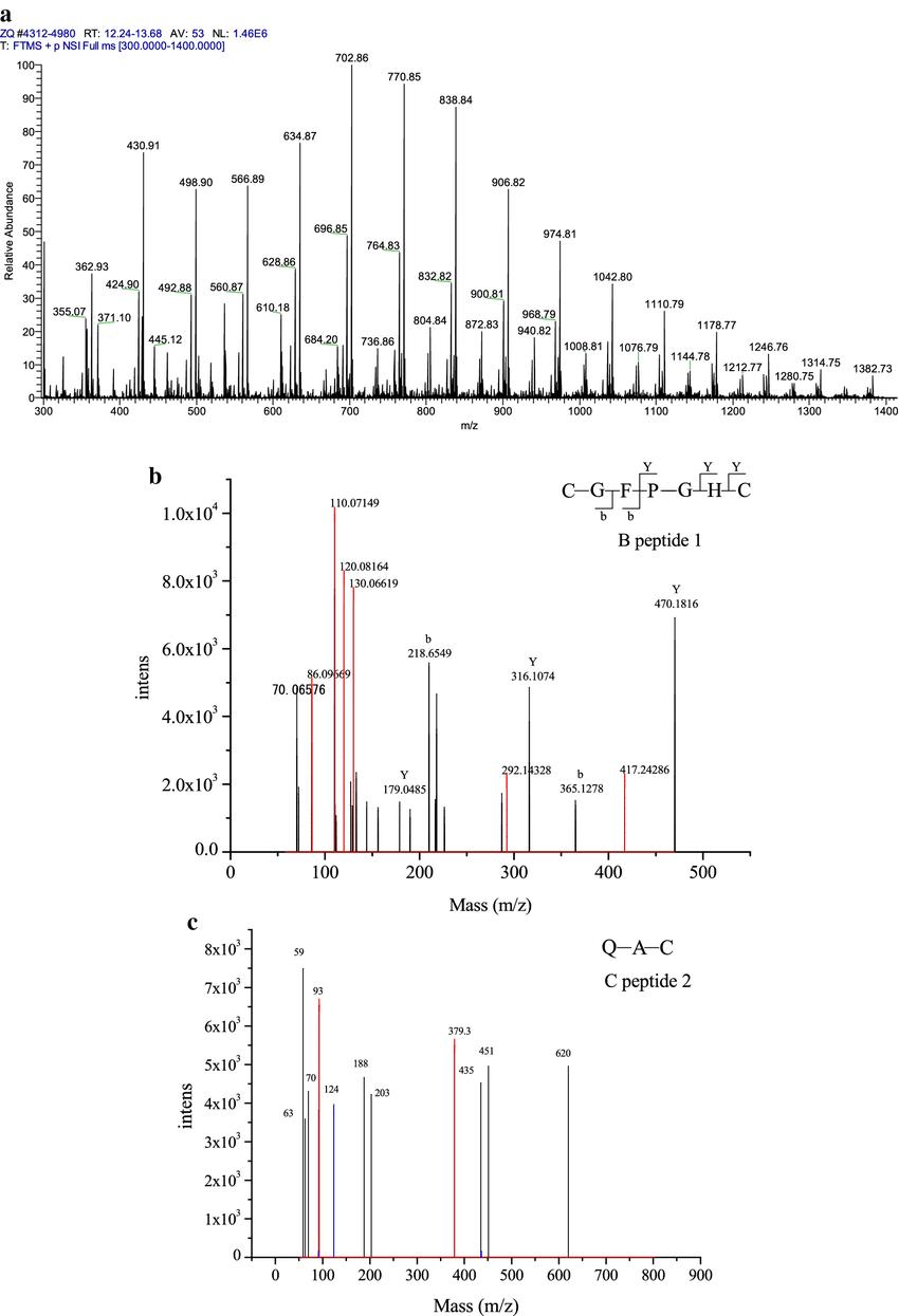 Applications of Mass Spectrometry Techniques in Amino Acid Analysis Methods