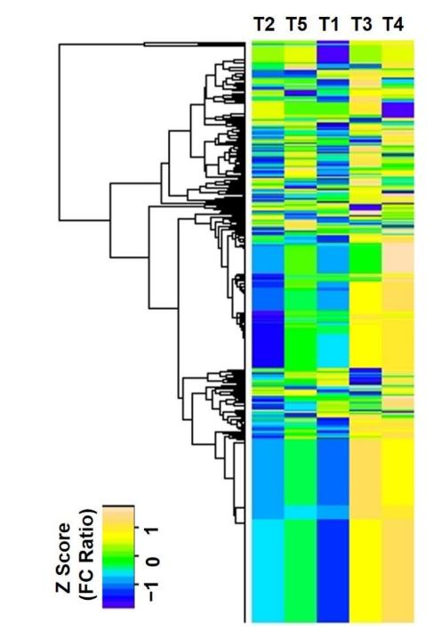 Applications of Proteomics in Unveiling Copper Stress Responses in European Rapeseed