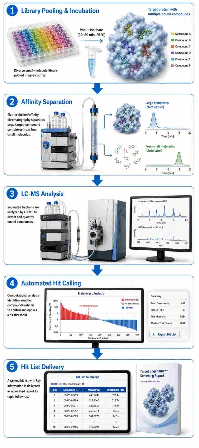 Automated HT-MS binding screening workflow showing five steps from library pooling to hit list delivery.