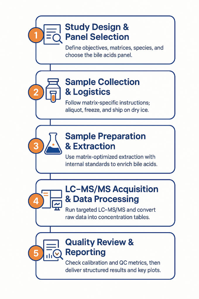 Bile Acid Analysis Workflow
