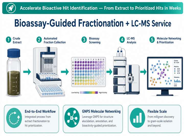 Bioassay-guided fractionation LC-MS service workflow overview showing extract fractionation, bioassay testing, LC-MS analysis, and molecular networking for natural product drug discovery.