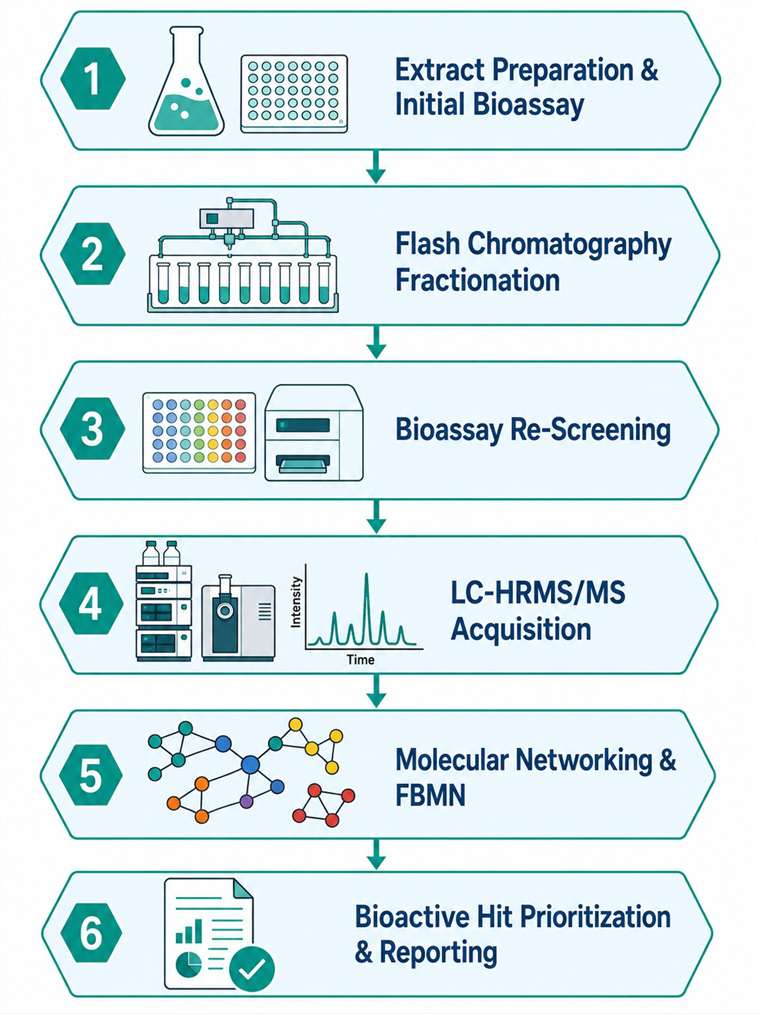 Six-step bioassay-guided fractionation LC-MS workflow diagram showing extract preparation, flash chromatography fractionation, bioassay re-screening, LC-HRMS/MS acquisition, molecular networking with FBMN, and bioactive hit prioritization.