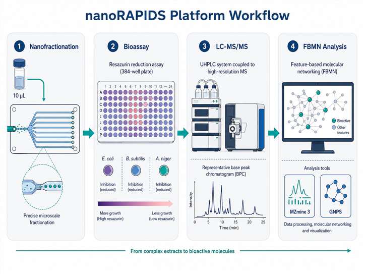 nanoRAPIDS workflow schematic showing nanofractionation, bioassay, LC-MS/MS acquisition, and FBMN analysis for bioactive metabolite discovery.