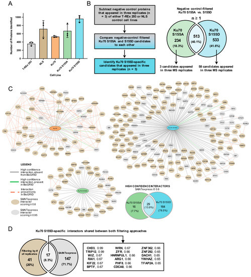 BioID2 interactome comparison across Ku70 wild-type, S155D, and S155A conditions identifying TRIP12