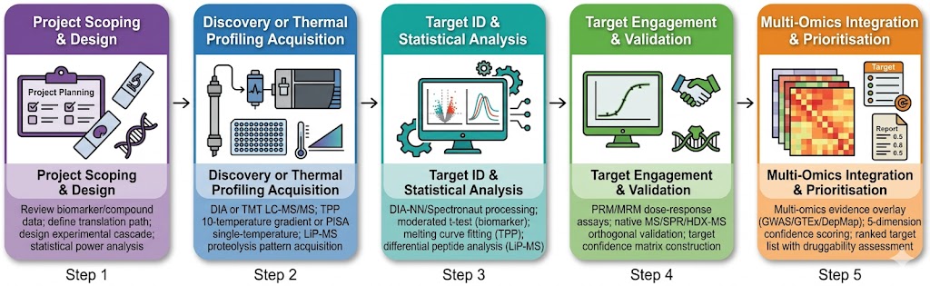 Biomarker to target translation analytical workflow: project scoping and experimental design, discovery proteomics or thermal profiling MS acquisition, target identification and statistical analysis, target engagement confirmation by PRM/MRM with orthogonal validation, and multi-omics integration for target prioritisation report with confidence scoring and druggability assessment.