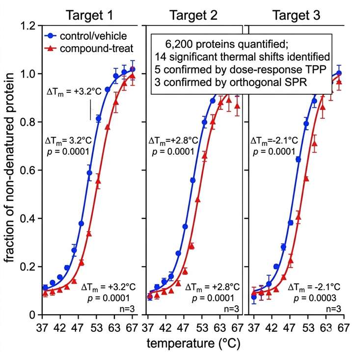 Thermal proteome profiling (TPP) melting curves: protein melting curves (fraction non-denatured versus temperature) for control (vehicle, blue) and compound-treated (red) samples, showing thermal shift for identified target proteins with Tm shift annotation.