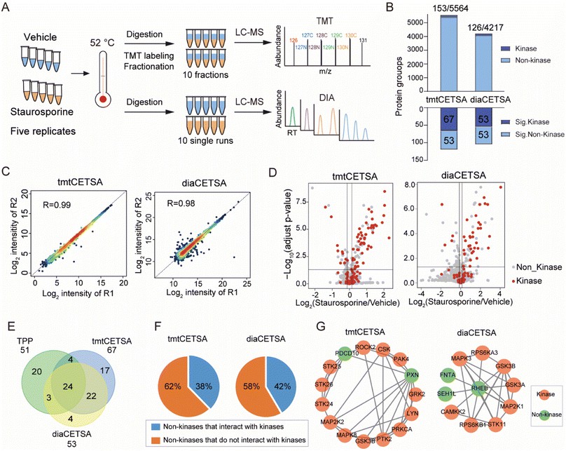 Figure from Wu et al. 2024, Chemical Science, showing the autoSISPROT-STPP thermal proteome profiling workflow and target identification results for 20 kinase inhibitors, including melting curve shifts and target/off-target ranking.