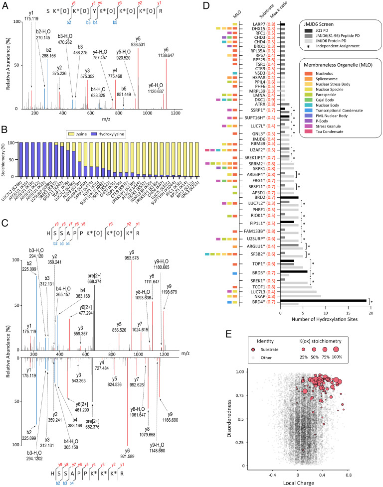 Hydroxylation service