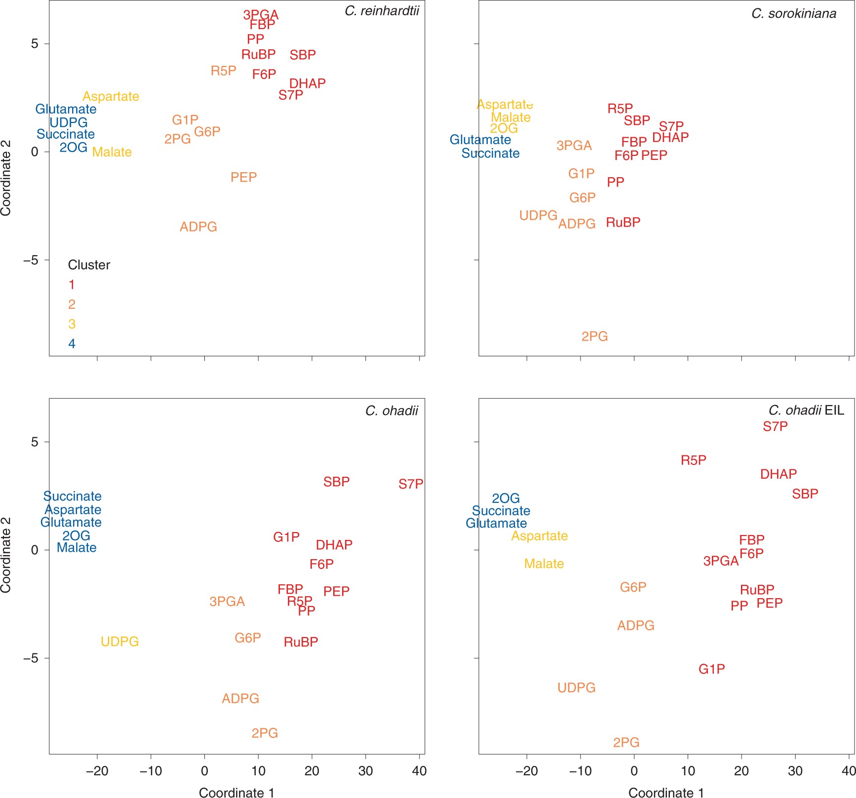 Algae central carbon metabolism analysis by using LC-MS/MS