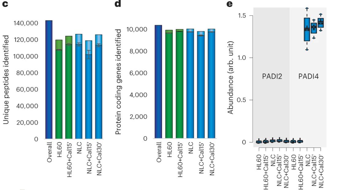 A quantitative and site-specific atlas of the citrullinome reveals widespread existence of citrullination and insights into PADI4 substrates