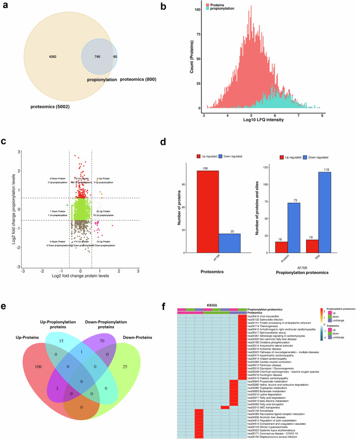 Atlas of lysine propionylation of human right atrium and ALDH6A1-NADH pathway in new-onset atrial fibrillation after coronary surgery