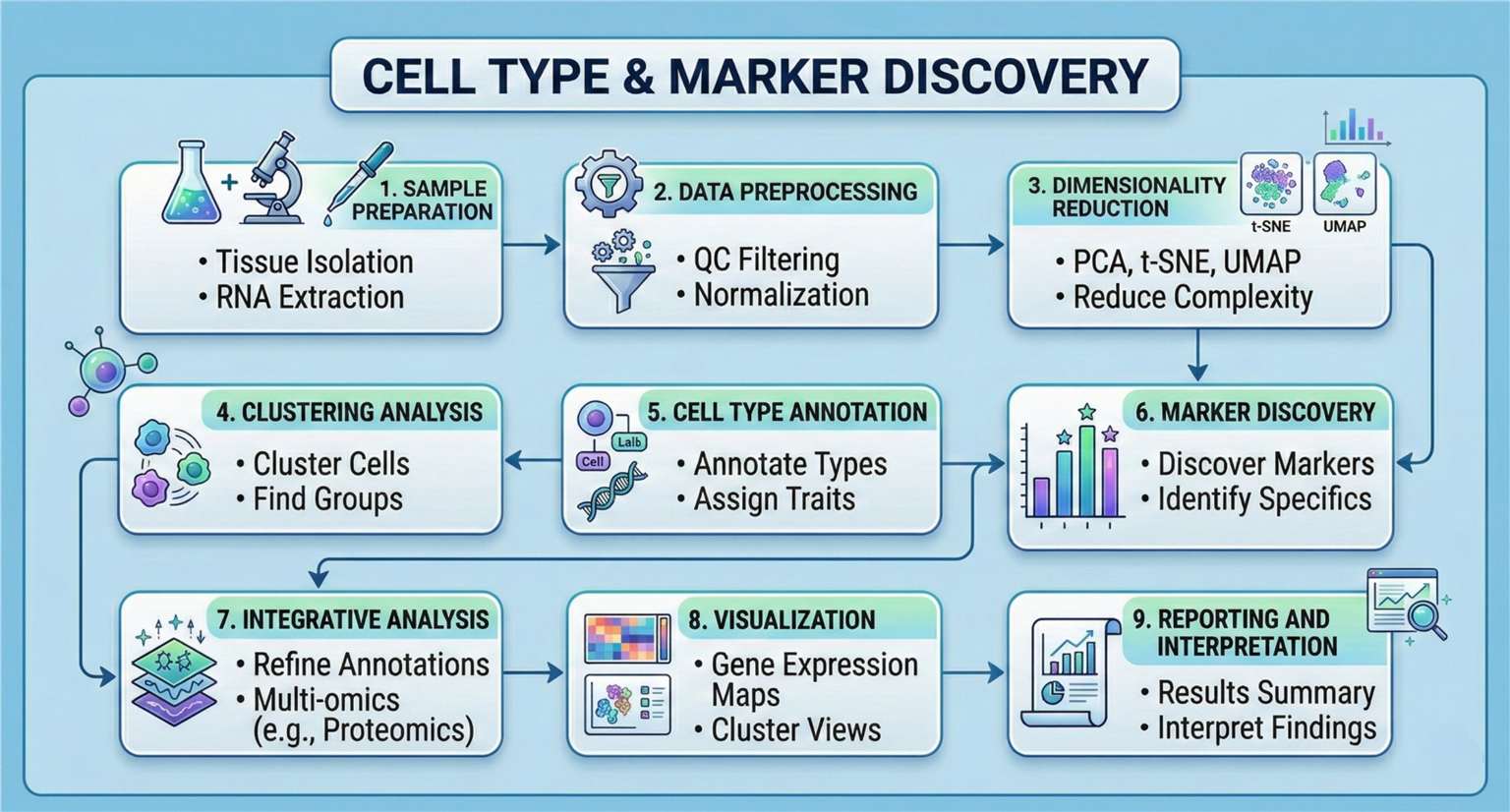 workflow of Cell Type Annotation & Marker Discovery
