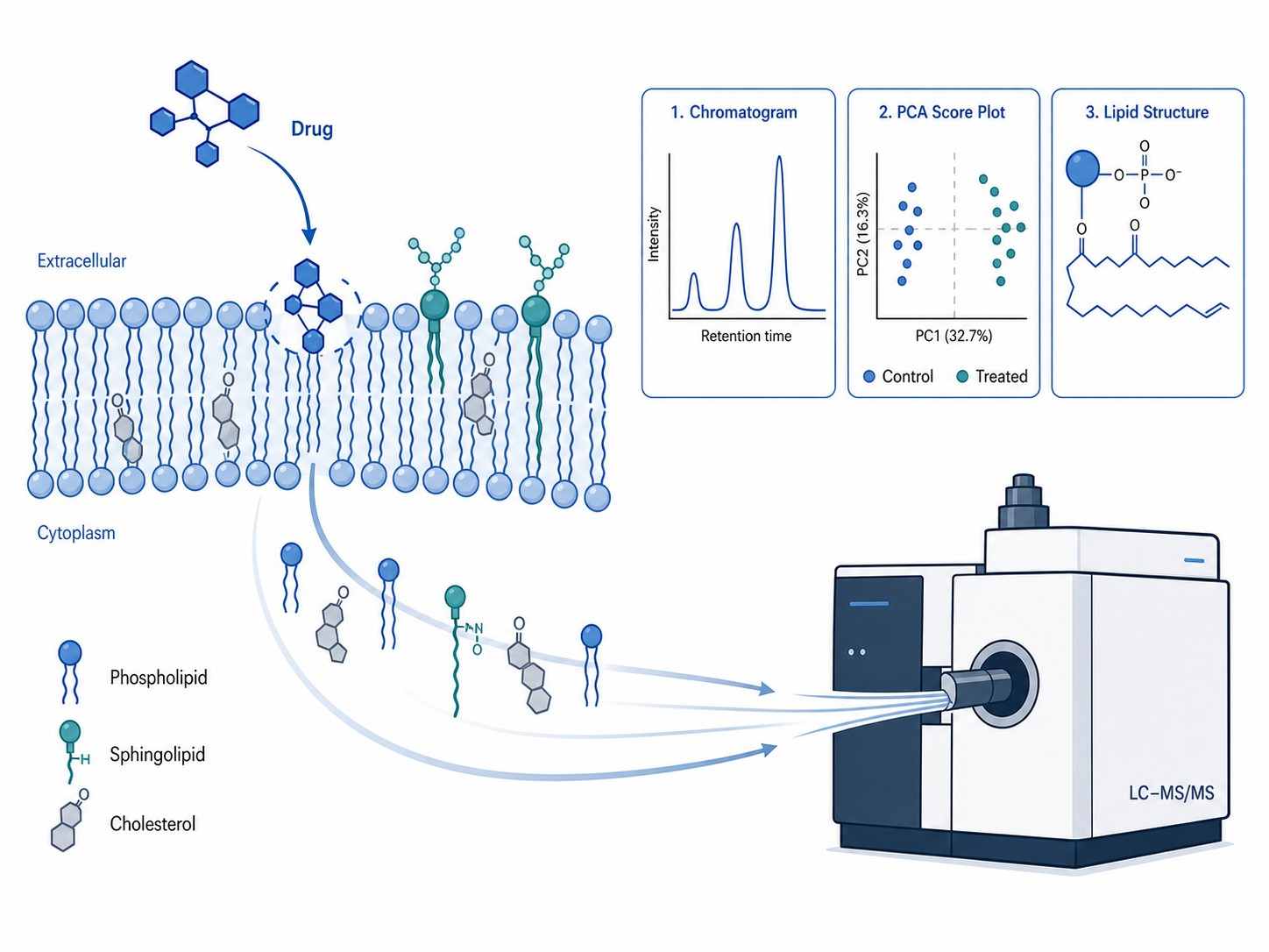 Cellular lipidomics drug profiling platform overview showing drug molecule interacting with cell membrane, lipid species being released and analyzed by a stylized mass spectrometer with lipid structural icons and data visualization overlay.