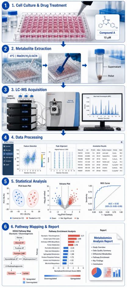 Cellular metabolomics screening workflow diagram showing six steps from cell culture and drug treatment through metabolite extraction, LC-MS acquisition, data processing, statistical analysis, and pathway mapping report delivery.
