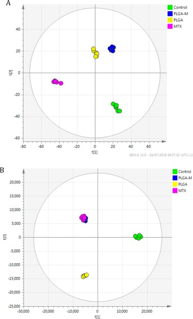 OPLS-DA score plots showing metabolic separation between methotrexate-treated and control A549 and THP-1 cells, with significantly altered metabolites in amino acid and nucleotide metabolism pathways (adapted from Al-Natour et al. 2019, International Journal of Pharmaceutics: X).