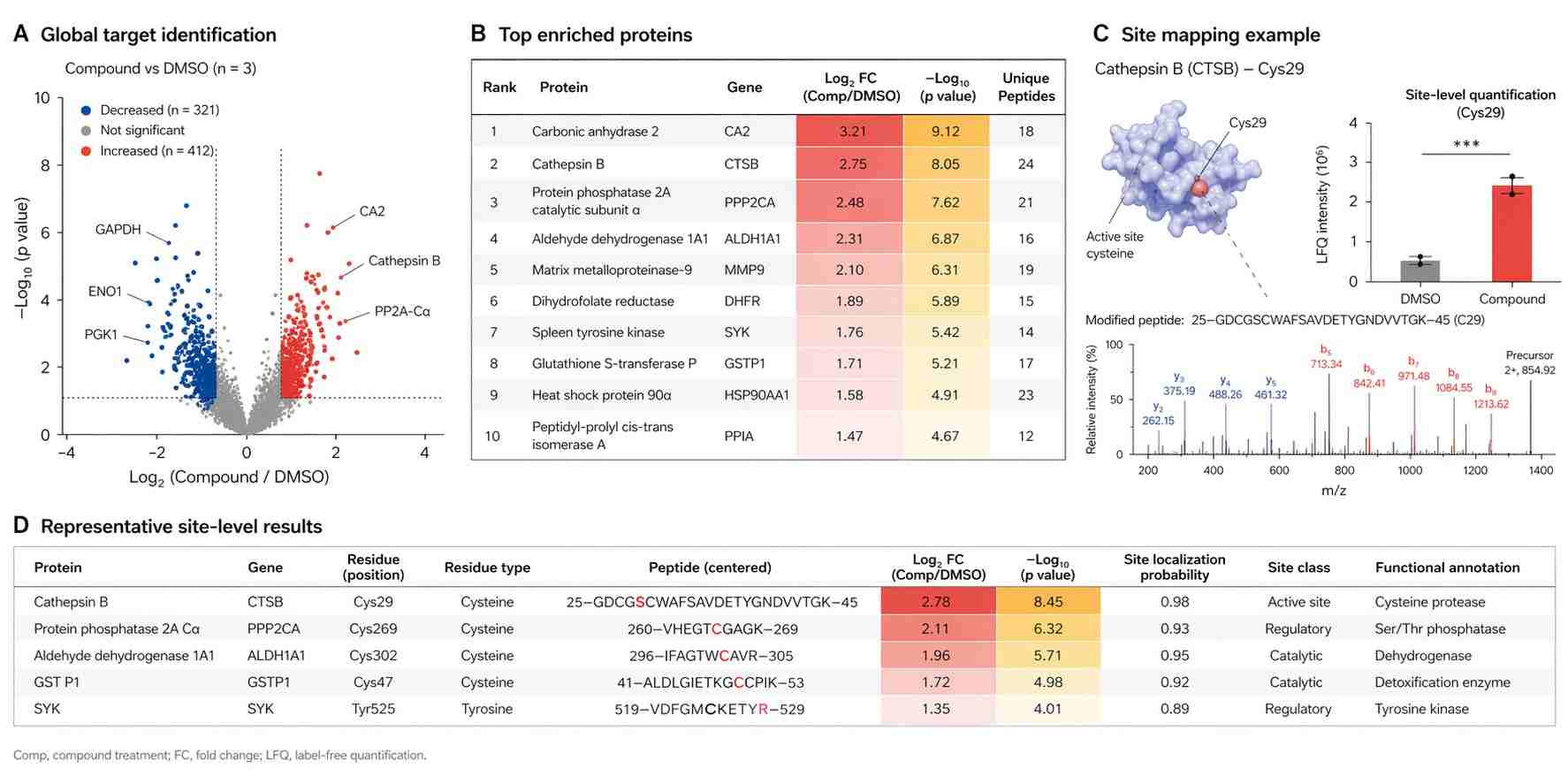 Typical chemoproteomics output types for drug discovery