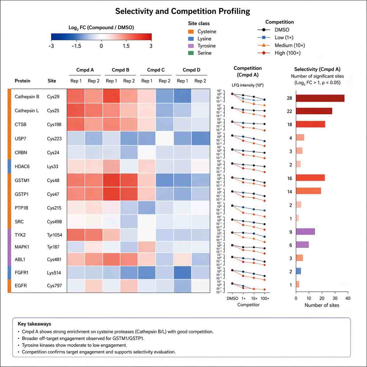 Selectivity and competition-style chemoproteomics result view