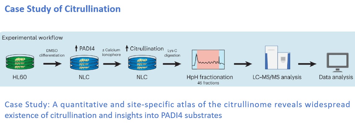 Citrullination case study