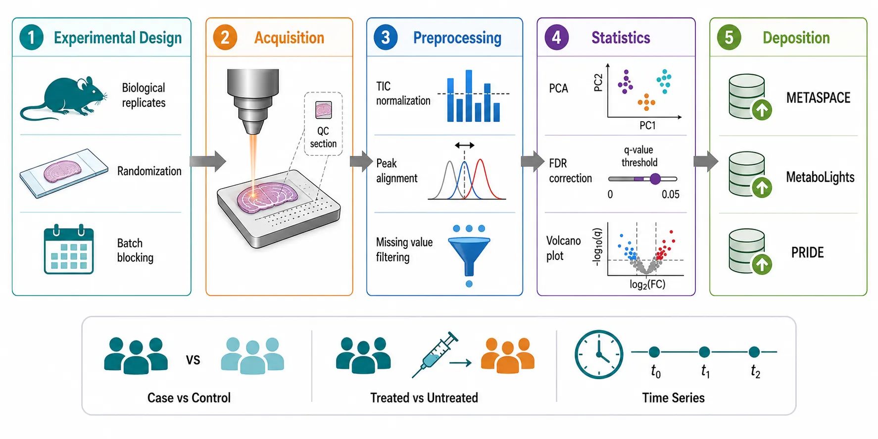 Comparative Spatial Metabolomics: Experimental Design, Statistical Methods, and Multi-Group MSI Data Analysis