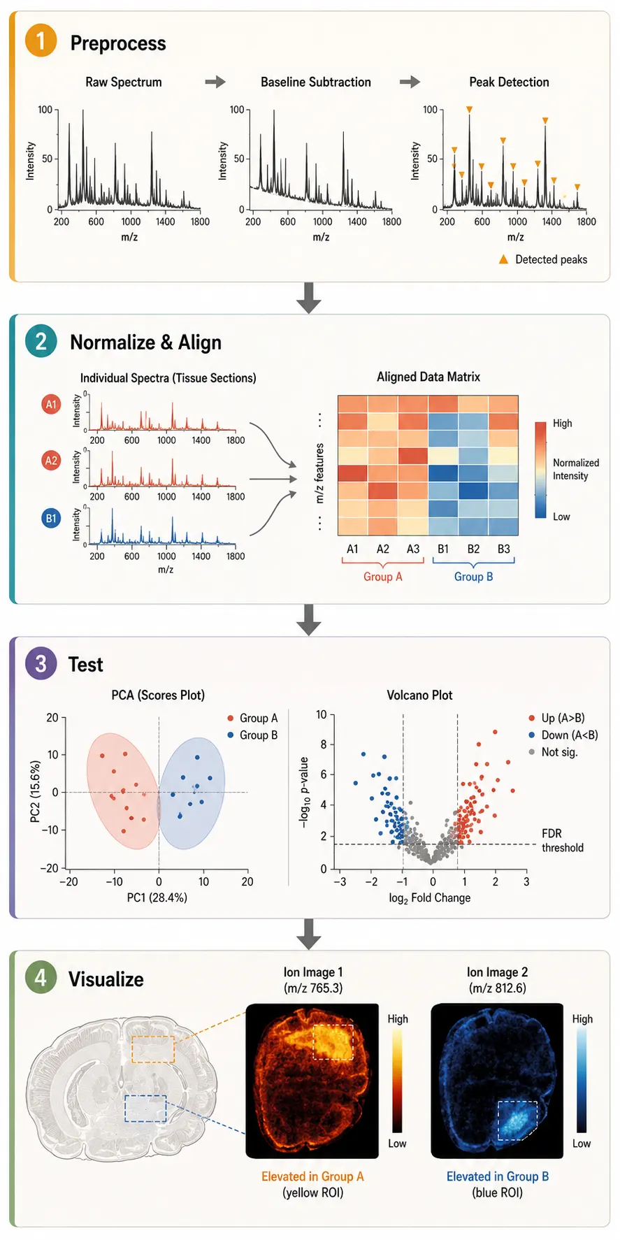 Cross-section normalization and peak alignment workflow for multi-sample MSI data
