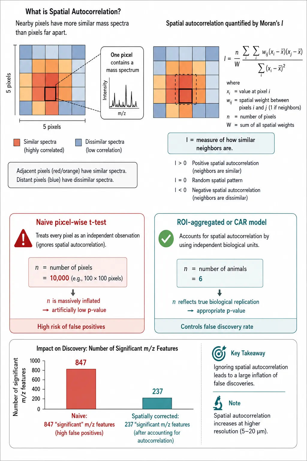 Spatial statistics comparison — pixel-wise vs ROI-based testing with FDR correction