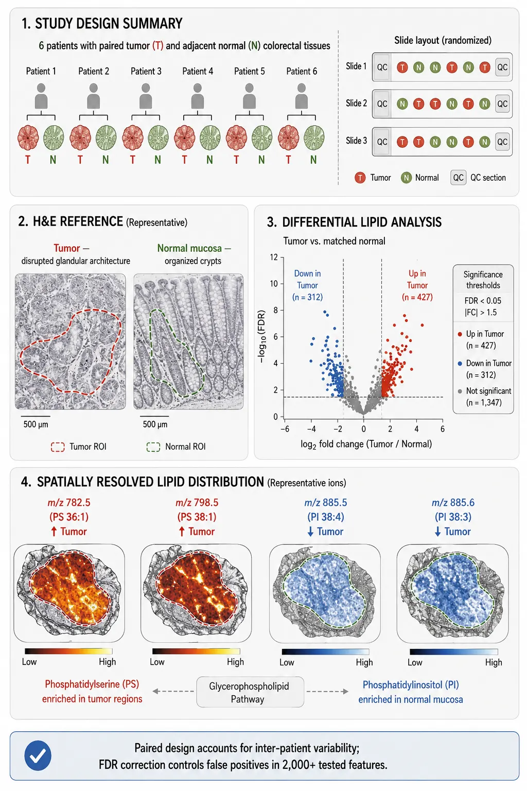Comparative MSI data analysis pipeline from raw spectra to biological interpretation