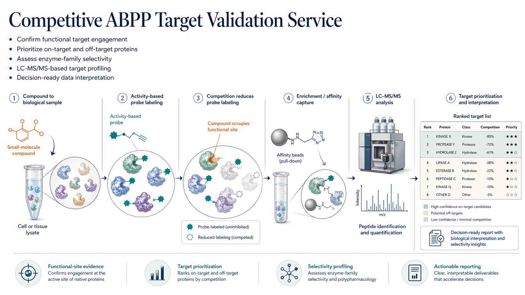 Competitive ABPP target validation service workflow with compound pre-incubation, activity-based probe labeling, enrichment, LC-MS/MS, and target prioritization.