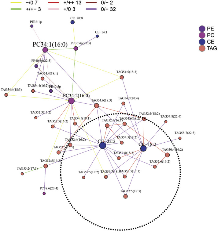 Comprehensive Lipidomics Pathway Analysis and Its Applications