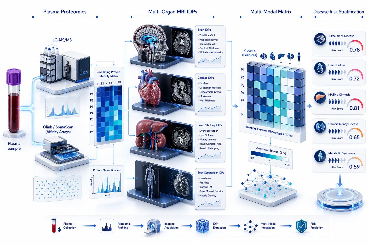 Connecting the Circulating Proteome to Multi-Organ Imaging Phenotypes: A Paradigm Shift in Systems Biomarker Discovery and Disease Risk Stratification