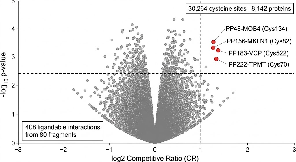 Fig. 2 and Fig. 3 from Biggs et al. 2025 showing volcano plot of 80 fragments screened against >30,000 cysteine sites and four validated selective fragment-protein interactions.