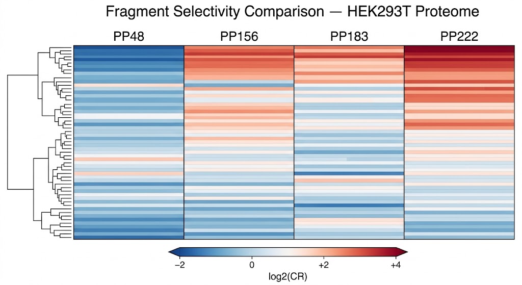 Proteome-wide cysteine reactivity volcano plot showing >30,000 cysteine sites quantified from >8,000 proteins, with selective fragment-protein interactions highlighted.